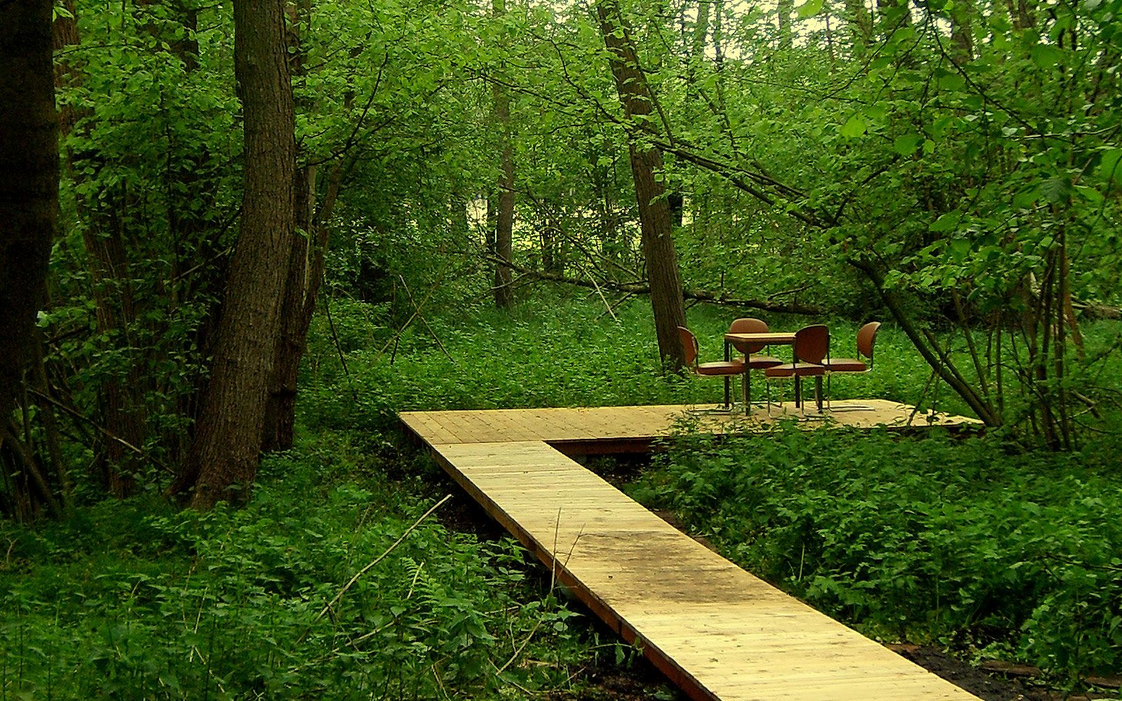 Lärchenholz Plateau als Plattform für puren Naturgenuß